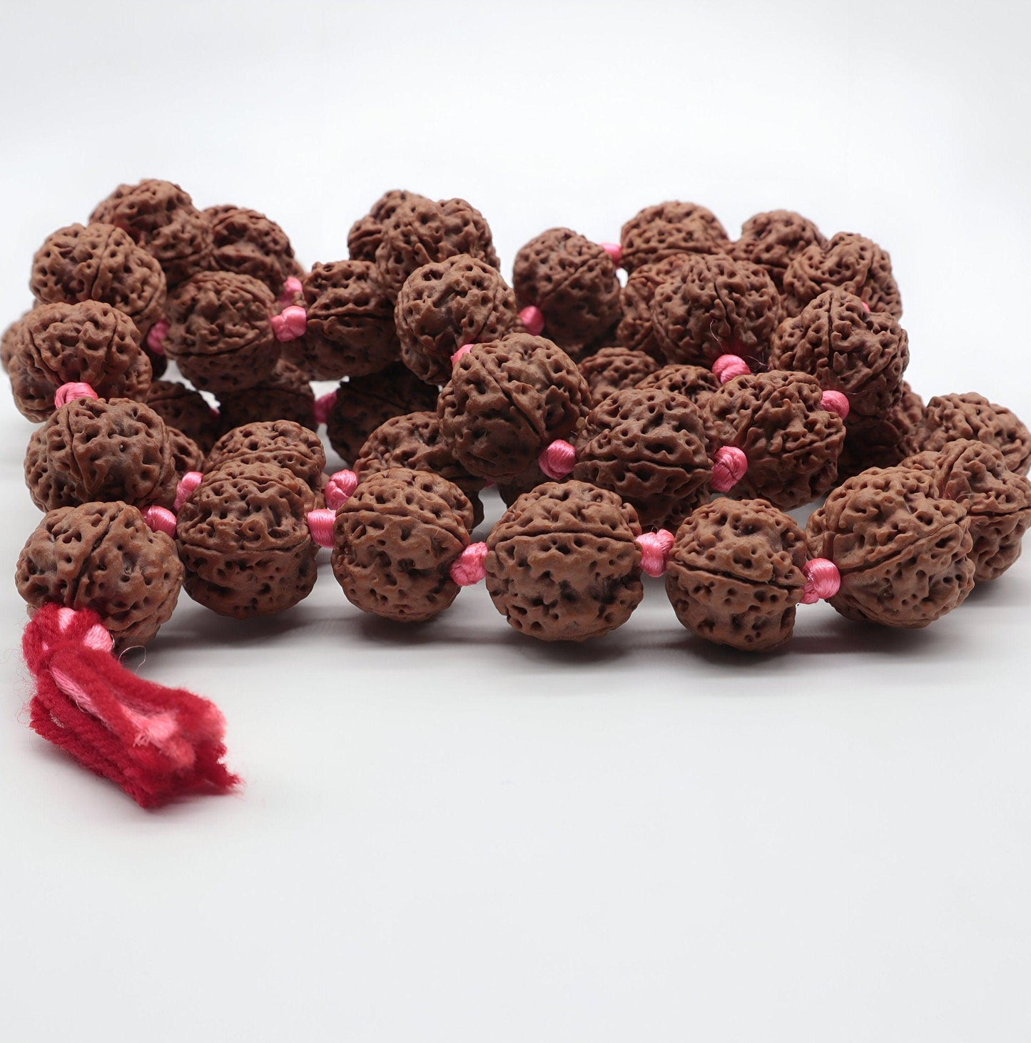 54+1 Five Face 16mm Beads Rudraksha Mala