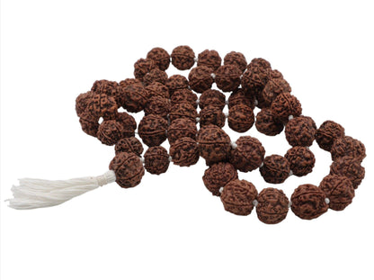 54+1 Five Face 16mm Beads Rudraksha Mala